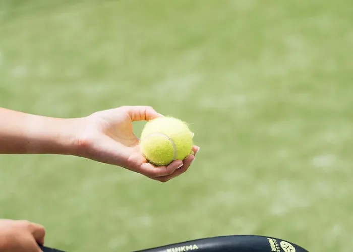 Placid Village アパート *